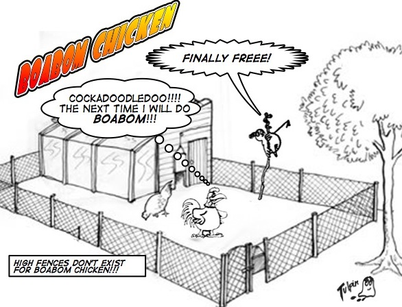 chicken-boabom
