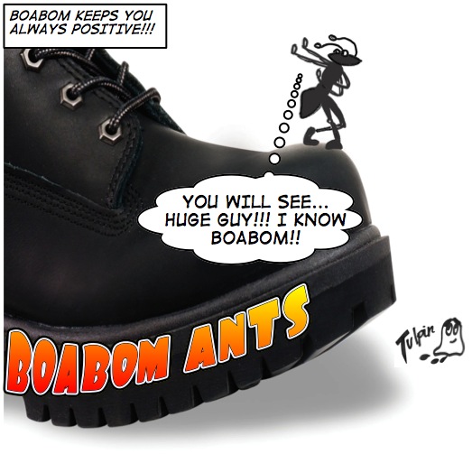 boabom-ant-agost-eng boabom-ant-agost-eng