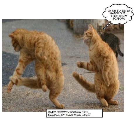 boabom cats